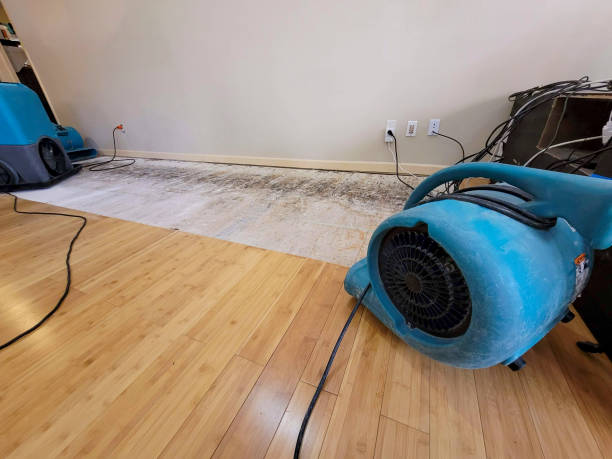 Professional Ceiling Water Damage Repair technician working in Greenville, KY